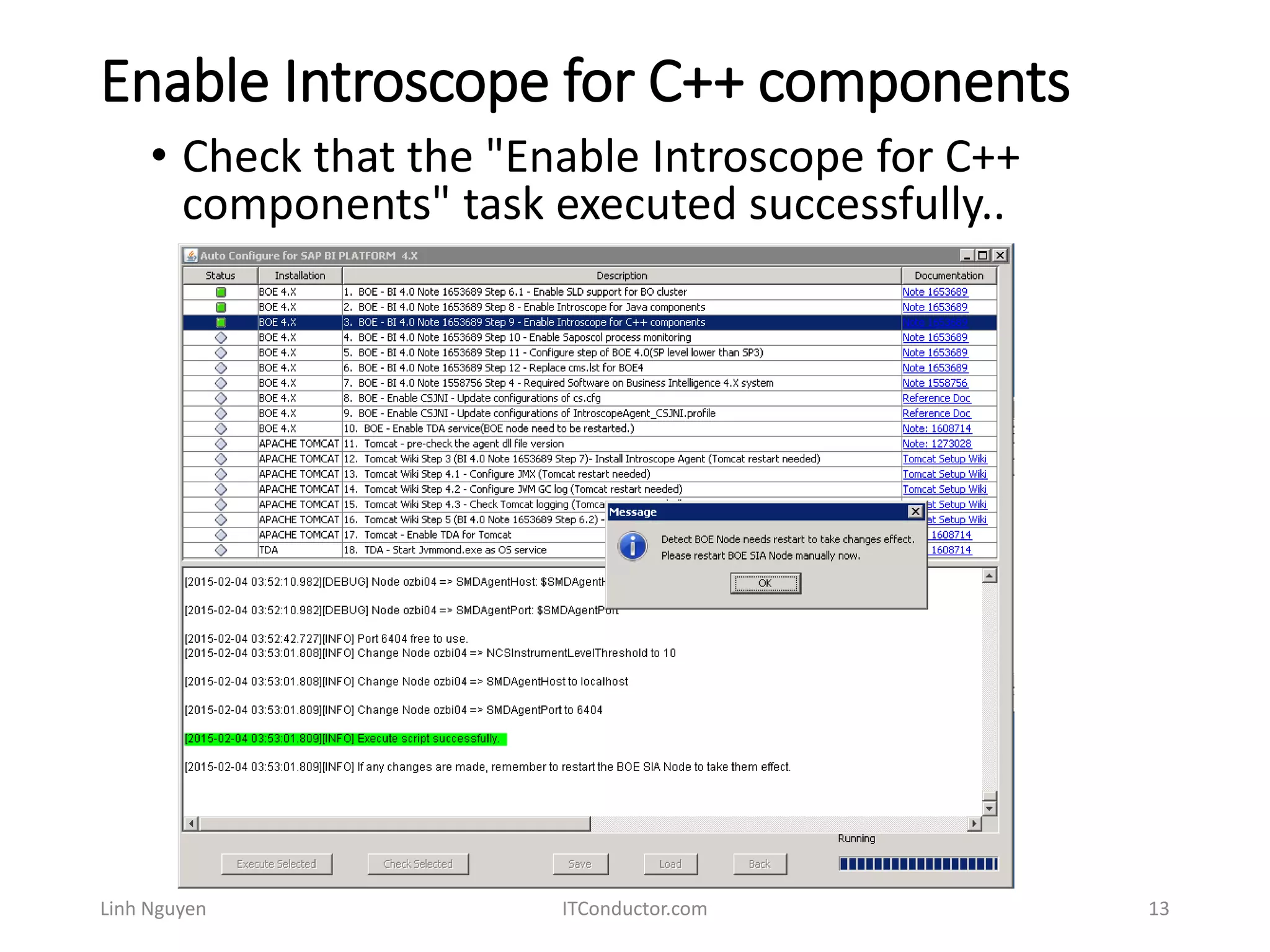 Enable Introscope for C++ components
Linh Nguyen ITConductor.com 13
• Check that the "Enable Introscope for C++
components" task executed successfully..
 
