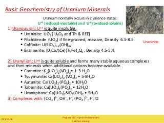 Basic Geochemistry of Uranium Minerals
Uranium normally occurs in 2 valence states:
U+4 (reduced-insoluble) and U+6 (oxidized-soluble)
1)Uranous ion: U+4 is quite insoluble.
 Uraninite: UO2 [ U3O8 and Th & REE]
 Pitchblende (UO2) if fine-grained, massive, Density 6.5-8.5
 Coffinite: U(SiO4)1-X(OH)4X
 Brannerite: (U,Ca,Y,Ce)(Ti,Fe)2O6 , Density 4.5-5.4
2) Uranyl ion: U+6 is quite soluble and forms many stable aqueous complexes
and then minerals when additional cations become available.
 Carnotite: K2(UO2)2(VO4)2• 1–3 H2O
 Tyuymunite: Ca(UO2)2 (VO4)2 • 5-8H2O
 Autunite: Ca(UO2)2 (PO4)2 • 10H2O
 Tobernite: Cu(UO2)2(PO4)2 • 12H2O
 Uranophane: Ca(UO2)2SiO3(OH)2 • 5H2O
3) Complexes with: (CO3 )2-, OH-, H-, (PO4 )2-, F-, Cl
Uraninite
Prof. Dr. H.Z. Harraz Presentation
Solution mining
02-Feb-16
 