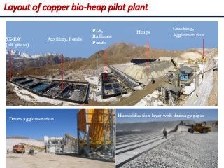 Layout of copper bio-heap pilot plant
Heaps
Auxiliary, Ponds
PLS,
Raffinate
Ponds
Crushing,
Agglomeration
SX-EW
(off photo)
Drum agglomeration
Humidification layer with drainage pipes
Prof. Dr. H.Z. Harraz
Presentation Surface
mining- Aqueous Extraction
Methods
 