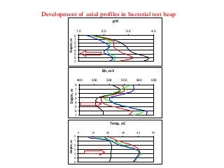 pH
0
1
2
3
4
5
6
7
1.0 2.0 3.0 4.0
Depth,m Eh, mV
0
1
2
3
4
5
6
7
400 450 500 550 600 650
Depth,m
Temp, oC
0
1
2
3
4
5
6
0 10 20 30 40 50
Depth,m
Development of axial profiles in bacterial test heap
 