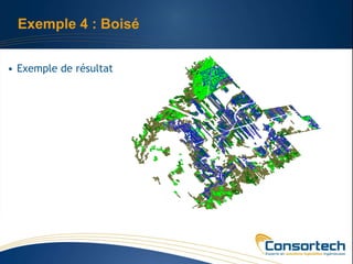Exemple 4 : Boisé


• Exemple de résultat
 