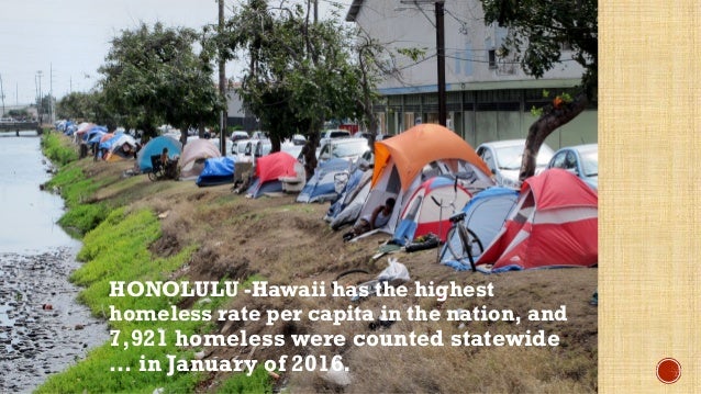 A Possible Solution To Decrease Homeless In Hawaii