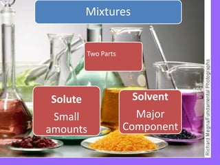 + Solvent Major Component Solute Small amounts Two Parts 