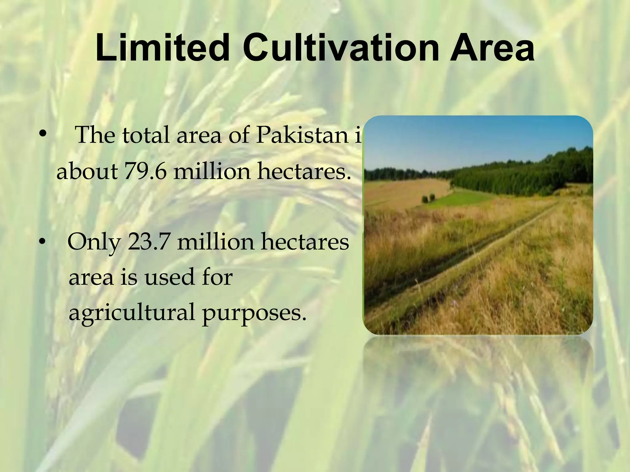 Limited Cultivation Area
• The total area of Pakistan is
about 79.6 million hectares.
• Only 23.7 million hectares
area is used for
agricultural purposes.
 