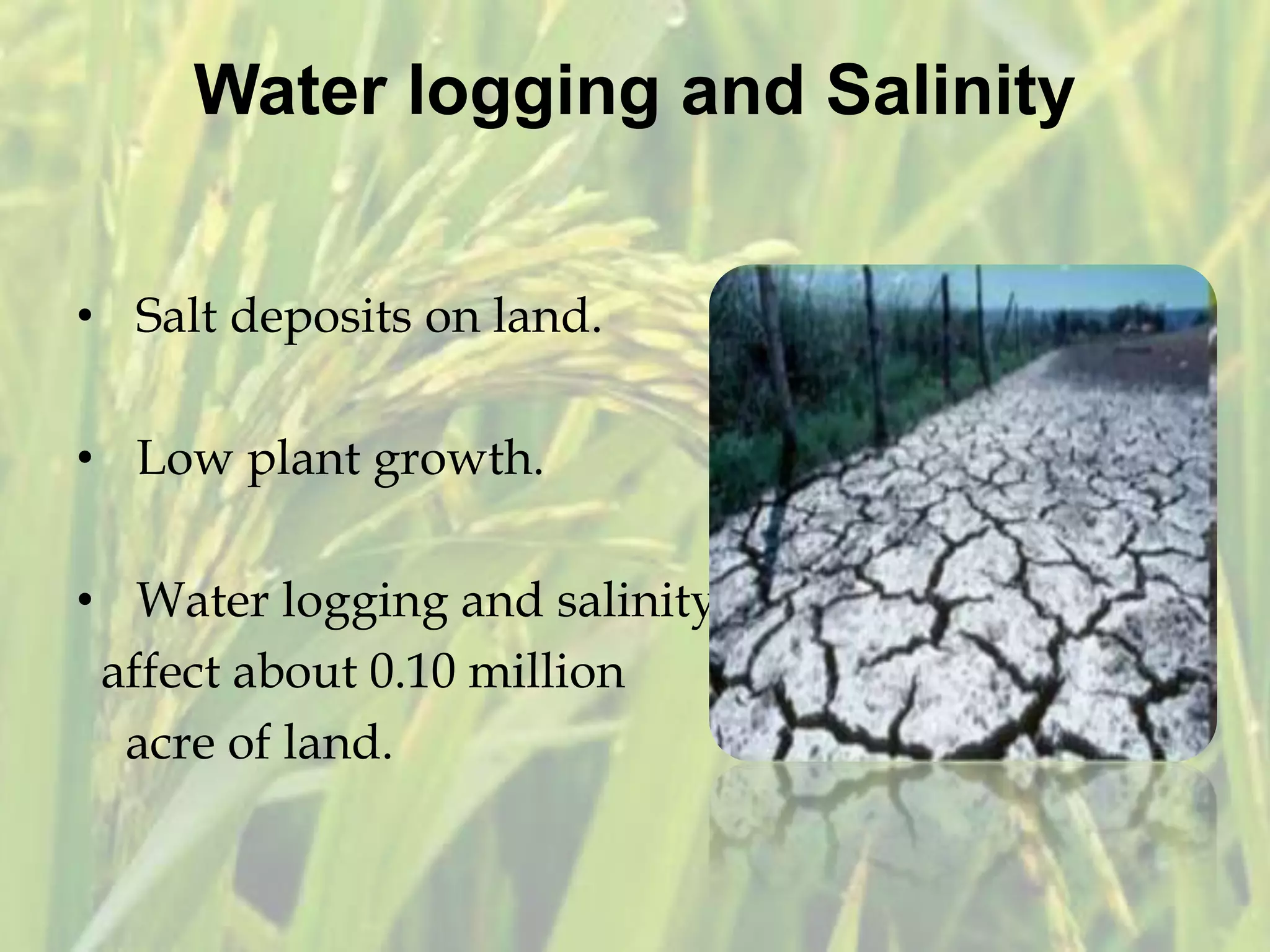 Water logging and Salinity
• Salt deposits on land.
• Low plant growth.
• Water logging and salinity
affect about 0.10 million
acre of land.
 