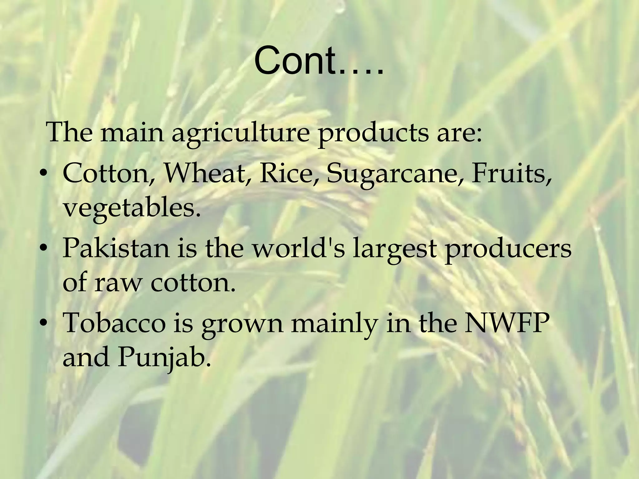 Cont….
The main agriculture products are:
• Cotton, Wheat, Rice, Sugarcane, Fruits,
vegetables.
• Pakistan is the world's largest producers
of raw cotton.
• Tobacco is grown mainly in the NWFP
and Punjab.
 