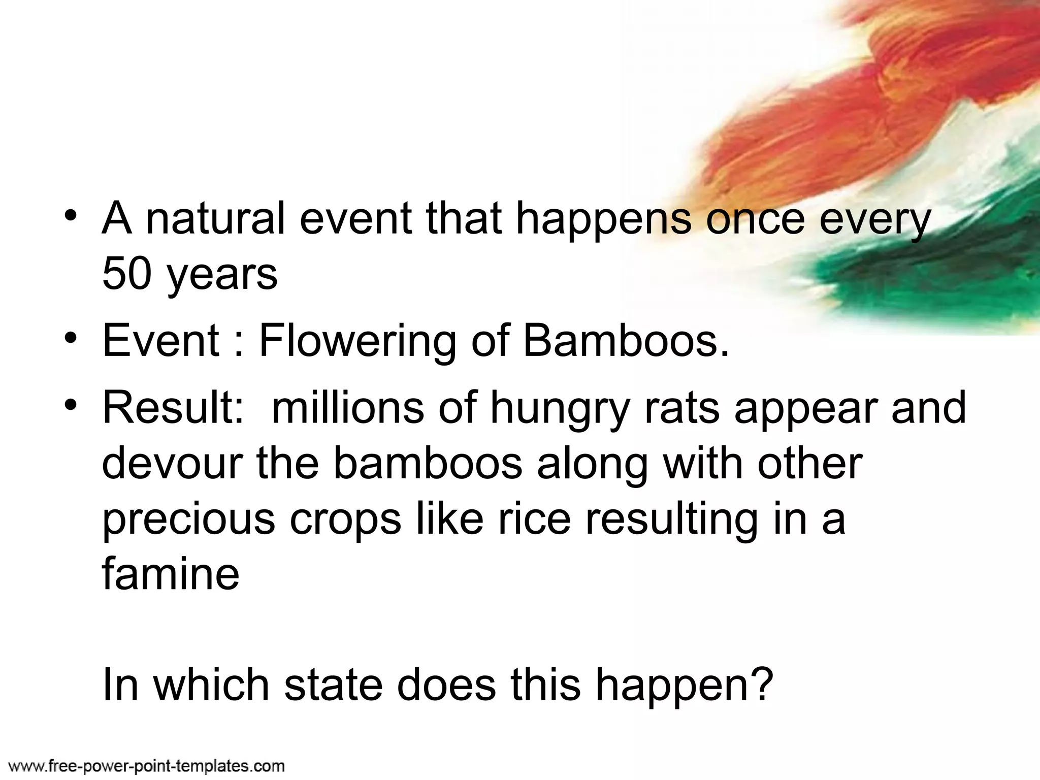 • A natural event that happens once every
50 years
• Event : Flowering of Bamboos.
• Result: millions of hungry rats appear and
devour the bamboos along with other
precious crops like rice resulting in a
famine
In which state does this happen?
 