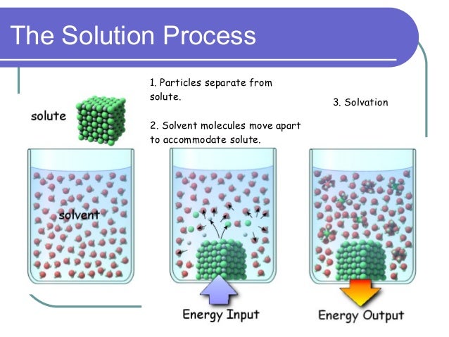 what is a solute molecule what is a solute molecule