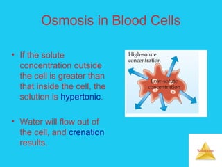 Solutions
Osmosis in Blood Cells
• If the solute
concentration outside
the cell is greater than
that inside the cell, the
solution is hypertonic.
• Water will flow out of
the cell, and crenation
results.
 