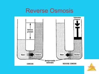Solutions
Reverse Osmosis
 