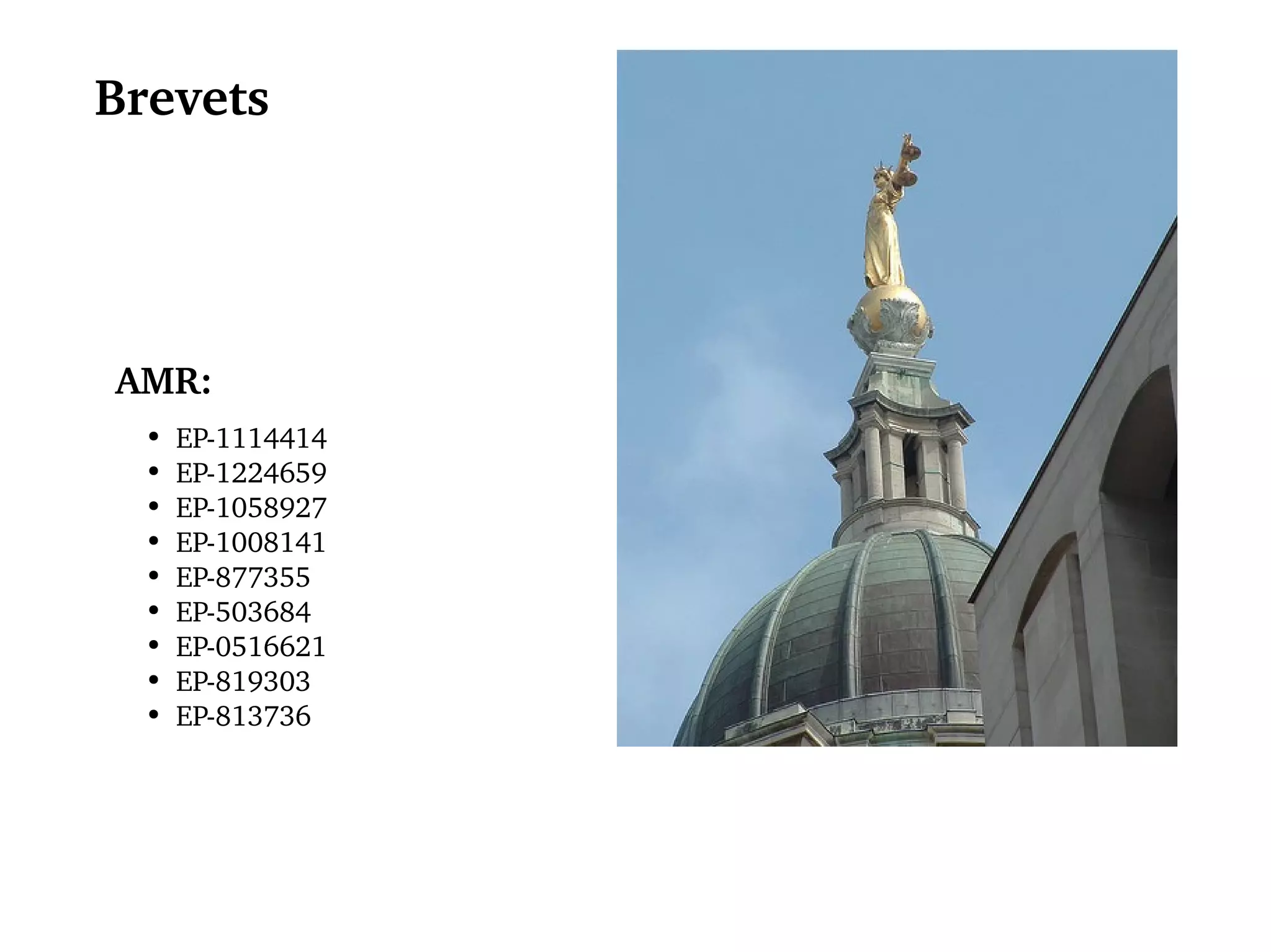 Brevets EP-1114414 EP-1224659 EP-1058927 EP-1008141 EP-877355 EP-503684 EP-0516621 EP-819303 EP-813736 AMR: 