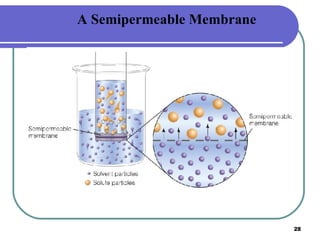 Insert figure 14.16 A Semipermeable Membrane 