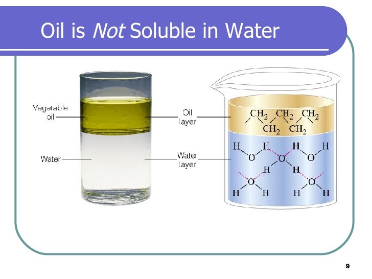 why is caco3 not soluble in water