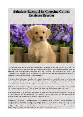 Solutions Essential In Choosing Golden
Retriever Breeder
Obtaining a Golden Retriever puppy ought to take a great deal of time and effort on your part. You
need not simply to discover a Golden Retriever breeder, however additionally should see them and
interview them. A great Golden Retriever breeder will then do the very same with you. With a good
Golden Retriever breeder, no cash is enough cash to sell a loved new puppy to a person improper to
own a pet stone, let alone a liking Golden Retriever.
A credible Golden Retriever breeder will certainly be more than satisfied to give them. You may
even have to ask the Golden Retriever breeder to shut up concerning the referrals. If all they talk
concerning is the check cleaning, compared to this is not the breeder for you.
Right here are some of the major concerns you desire to ask any type of Golden Retriever breeder
you are thinking of purchasing a puppy from. Ask them why they breed Golden Retrievers.
You likewise need to be sure what the breeder is liable for in terms of the new puppy's health and
exactly what you are accountable for. You require to ask if you could call for guidance at no
additional fee if you have training problems with your puppy.
You also wish to ask for a created contract, which spells out what the breeder is responsible for. An
excellent Golden Retriever breeder will certainly currently have such a contract for you! A great
breeder will certainly additionally have the ability to not simply show you the new puppy's mother,
yet likewise her wellness certificates. You need to make certain the moms and dads have been tested
for hip dysplasia and eye health conditions that can be passed genetically.
 