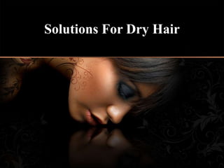 Solutions For Dry Hair
 