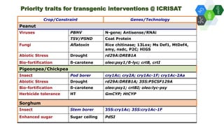 Solutions for Impact in Emerging Markets: The role of biotechnology