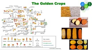 Solutions for Impact in Emerging Markets: The role of biotechnology