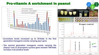 Solutions for Impact in Emerging Markets: The role of biotechnology
