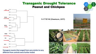 Solutions for Impact in Emerging Markets: The role of biotechnology