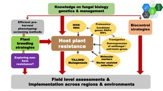 Solutions for Impact in Emerging Markets: The role of biotechnology
