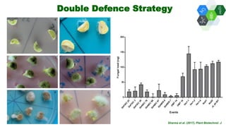 Solutions for Impact in Emerging Markets: The role of biotechnology