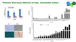 Solutions for Impact in Emerging Markets: The role of biotechnology