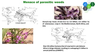 Solutions for Impact in Emerging Markets: The role of biotechnology