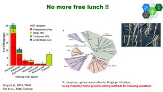 Solutions for Impact in Emerging Markets: The role of biotechnology