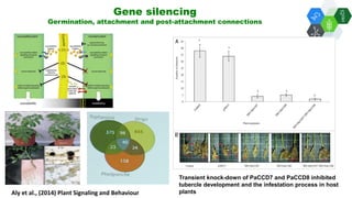 Solutions for Impact in Emerging Markets: The role of biotechnology