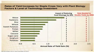 Solutions for Impact in Emerging Markets: The role of biotechnology
