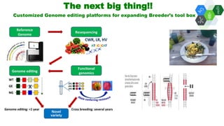 Solutions for Impact in Emerging Markets: The role of biotechnology