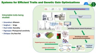 Solutions for Impact in Emerging Markets: The role of biotechnology