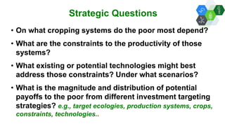 Solutions for Impact in Emerging Markets: The role of biotechnology