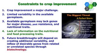 Solutions for Impact in Emerging Markets: The role of biotechnology