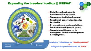 Solutions for Impact in Emerging Markets: The role of biotechnology