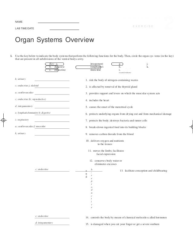 Solutions Manual For Human Anatomy And Physiology Laboratory Manual F