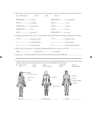 Solutions Manual For Laboratory Manual For Anatomy And Physiology 6th