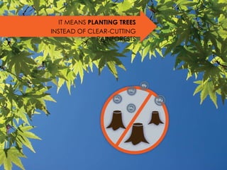 IT MEANS  PLANTING TREES INSTEAD OF CLEAR-CUTTING RAINFORESTS 
