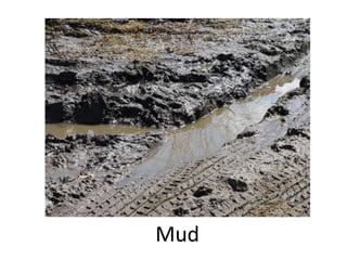 Mud
 