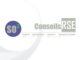 en

                            Conseils
Stratégie RSE          Engagement Sociétal              Environnement              Gourvernance et reporting RSE
La RSE, un levier de   La RSE, un engagement riche de   La RSE, un                 Le reporting RSE, un pas vers le reporting
performance            sens                             différenciateur « vert »   intégré
 