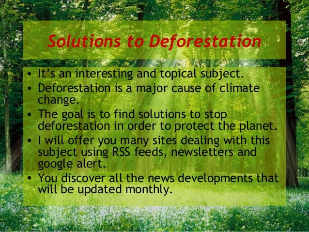 cause effect solution to deforestation Deforestation is a persistent problem with a multitude of causes deforestation solutions and this homesteading is one of the primary causes of deforestation. cause effect solution to deforestation Deforestation is a persistent problem with a multitude of causes deforestation solutions and this homesteading is one of the primary causes of deforestation.