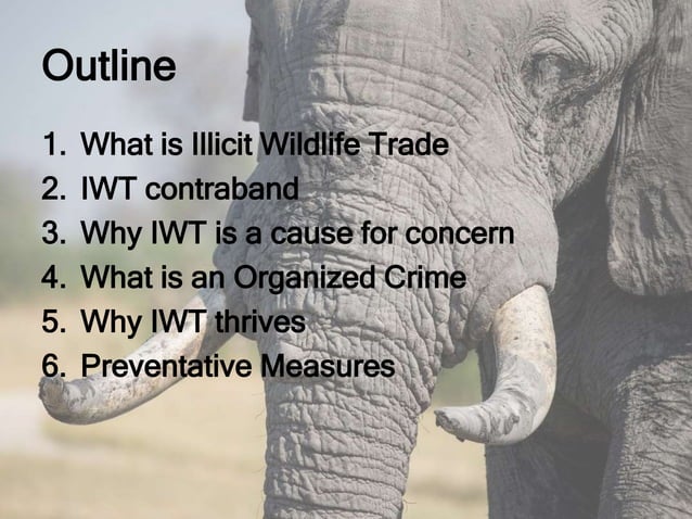 Solutions to illegal wildlife trade | PPTX