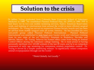 Solution to the crisis august 2011