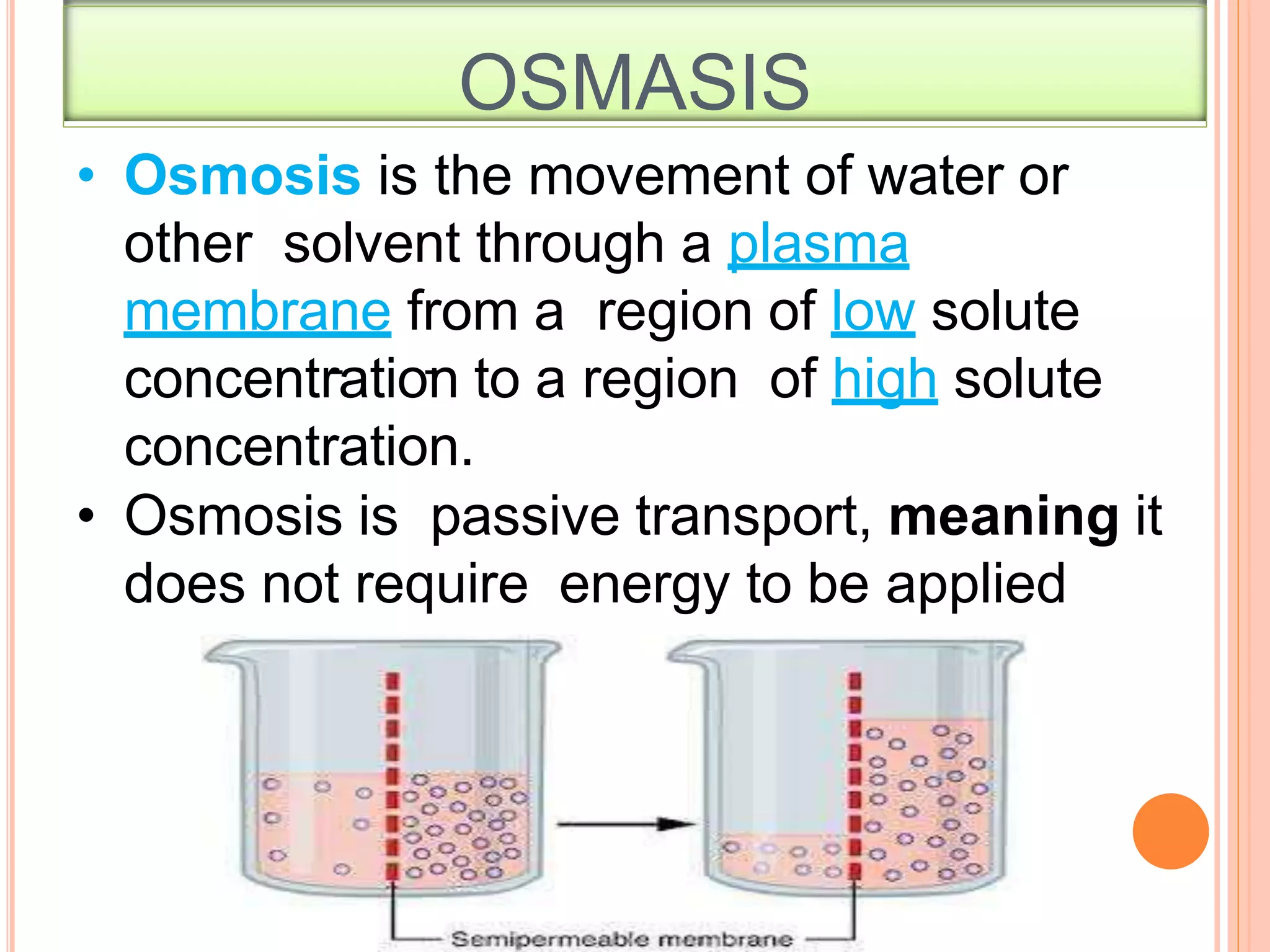 OSMASIS
• Osmosis is the movement of water or
other solvent through a plasma
membrane from a region of low solute
concentration to a region of high solute
concentration.
• Osmosis is passive transport, meaning it
does not require energy to be applied
 