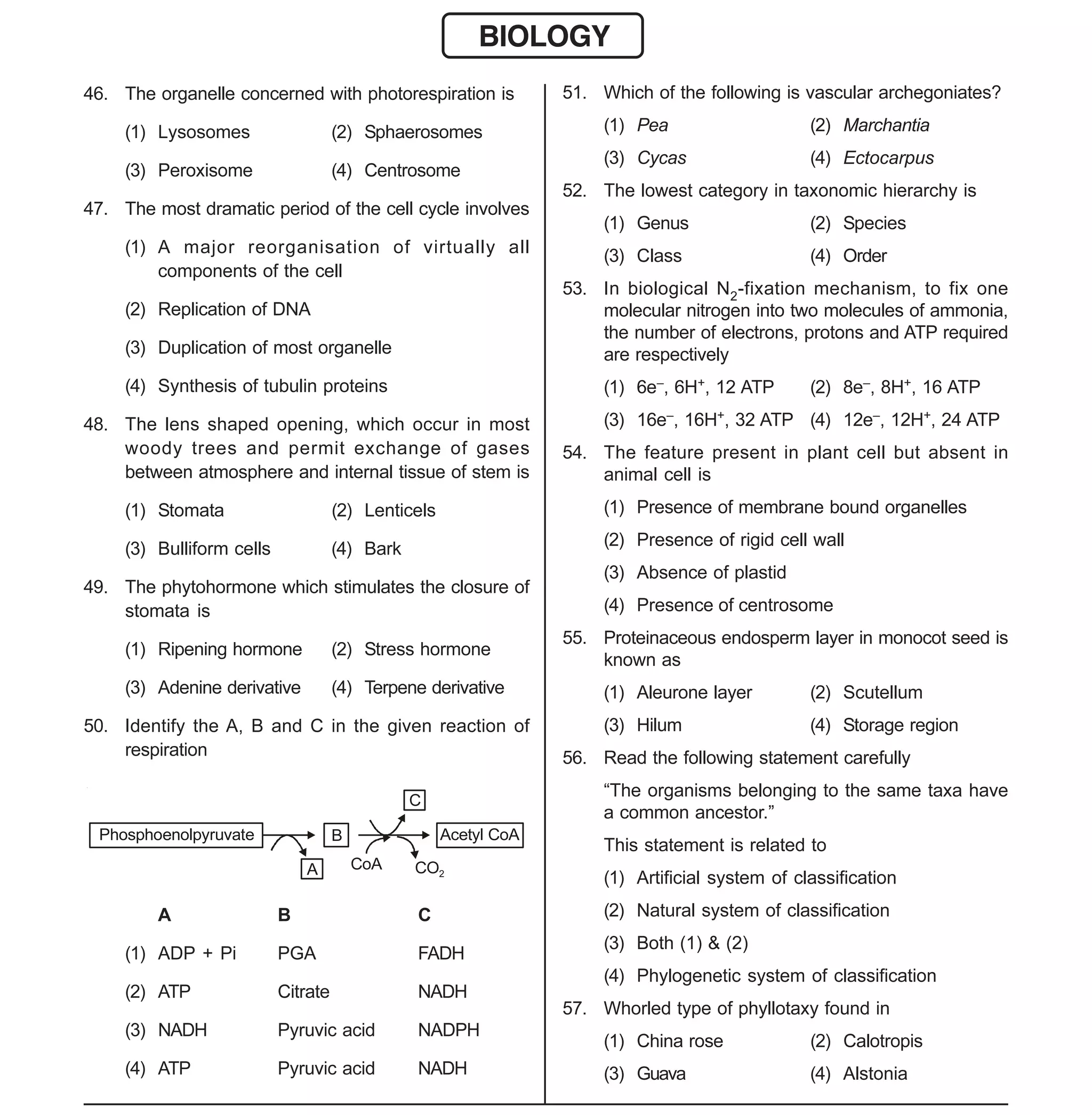 Space For Rough Work
- 6 -
Sample Paper XII-cum-Medical Course for AIPMT-2015
BIOLOGY
46. The organelle concerned with photorespiration is
(1) Lysosomes (2) Sphaerosomes
(3) Peroxisome (4) Centrosome
47. The most dramatic period of the cell cycle involves
(1) A major reorganisation of virtually all
components of the cell
(2) Replication of DNA
(3) Duplication of most organelle
(4) Synthesis of tubulin proteins
48. The lens shaped opening, which occur in most
woody trees and permit exchange of gases
between atmosphere and internal tissue of stem is
(1) Stomata (2) Lenticels
(3) Bulliform cells (4) Bark
49. The phytohormone which stimulates the closure of
stomata is
(1) Ripening hormone (2) Stress hormone
(3) Adenine derivative (4) Terpene derivative
50. Identify the A, B and C in the given reaction of
respiration
Phosphoenolpyruvate B
A
C
CoA CO2
Acetyl CoA
A B C
(1) ADP + Pi PGA FADH
(2) ATP Citrate NADH
(3) NADH Pyruvic acid NADPH
(4) ATP Pyruvic acid NADH
51. Which of the following is vascular archegoniates?
(1) Pea (2) Marchantia
(3) Cycas (4) Ectocarpus
52. The lowest category in taxonomic hierarchy is
(1) Genus (2) Species
(3) Class (4) Order
53. In biological N2-fixation mechanism, to fix one
molecular nitrogen into two molecules of ammonia,
the number of electrons, protons and ATP required
are respectively
(1) 6e–, 6H+, 12 ATP (2) 8e–, 8H+, 16 ATP
(3) 16e–, 16H+, 32 ATP (4) 12e–, 12H+, 24 ATP
54. The feature present in plant cell but absent in
animal cell is
(1) Presence of membrane bound organelles
(2) Presence of rigid cell wall
(3) Absence of plastid
(4) Presence of centrosome
55. Proteinaceous endosperm layer in monocot seed is
known as
(1) Aleurone layer (2) Scutellum
(3) Hilum (4) Storage region
56. Read the following statement carefully
“The organisms belonging to the same taxa have
a common ancestor.”
This statement is related to
(1) Artificial system of classification
(2) Natural system of classification
(3) Both (1) & (2)
(4) Phylogenetic system of classification
57. Whorled type of phyllotaxy found in
(1) China rose (2) Calotropis
(3) Guava (4) Alstonia
 