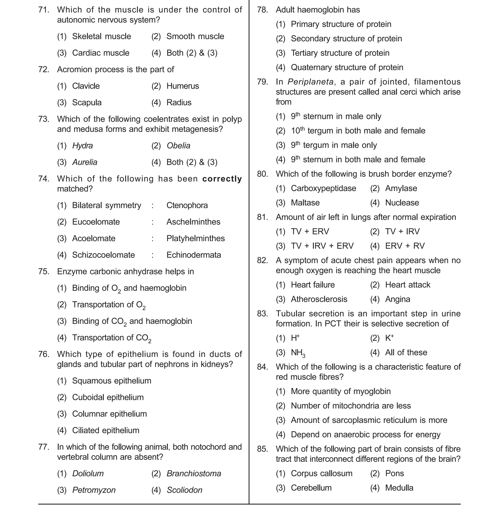 Space For Rough Work
- 8 -
Sample Paper XII-cum-Medical Course for AIPMT-2015
71. Which of the muscle is under the control of
autonomic nervous system?
(1) Skeletal muscle (2) Smooth muscle
(3) Cardiac muscle (4) Both (2) & (3)
72. Acromion process is the part of
(1) Clavicle (2) Humerus
(3) Scapula (4) Radius
73. Which of the following coelentrates exist in polyp
and medusa forms and exhibit metagenesis?
(1) Hydra (2) Obelia
(3) Aurelia (4) Both (2) & (3)
74. Which of the following has been correctly
matched?
(1) Bilateral symmetry : Ctenophora
(2) Eucoelomate : Aschelminthes
(3) Acoelomate : Platyhelminthes
(4) Schizocoelomate : Echinodermata
75. Enzyme carbonic anhydrase helps in
(1) Binding of O2 and haemoglobin
(2) Transportation of O2
(3) Binding of CO2 and haemoglobin
(4) Transportation of CO2
76. Which type of epithelium is found in ducts of
glands and tubular part of nephrons in kidneys?
(1) Squamous epithelium
(2) Cuboidal epithelium
(3) Columnar epithelium
(4) Ciliated epithelium
77. In which of the following animal, both notochord and
vertebral column are absent?
(1) Doliolum (2) Branchiostoma
(3) Petromyzon (4) Scoliodon
78. Adult haemoglobin has
(1) Primary structure of protein
(2) Secondary structure of protein
(3) Tertiary structure of protein
(4) Quaternary structure of protein
79. In Periplaneta, a pair of jointed, filamentous
structures are present called anal cerci which arise
from
(1) 9th sternum in male only
(2) 10th tergum in both male and female
(3) 9th tergum in male only
(4) 9th sternum in both male and female
80. Which of the following is brush border enzyme?
(1) Carboxypeptidase (2) Amylase
(3) Maltase (4) Nuclease
81. Amount of air left in lungs after normal expiration
(1) TV + ERV (2) TV + IRV
(3) TV + IRV + ERV (4) ERV + RV
82. A symptom of acute chest pain appears when no
enough oxygen is reaching the heart muscle
(1) Heart failure (2) Heart attack
(3) Atherosclerosis (4) Angina
83. Tubular secretion is an important step in urine
formation. In PCT their is selective secretion of
(1) H+ (2) K+
(3) NH3 (4) All of these
84. Which of the following is a characteristic feature of
red muscle fibres?
(1) More quantity of myoglobin
(2) Number of mitochondria are less
(3) Amount of sarcoplasmic reticulum is more
(4) Depend on anaerobic process for energy
85. Which of the following part of brain consists of fibre
tract that interconnect different regions of the brain?
(1) Corpus callosum (2) Pons
(3) Cerebellum (4) Medulla
 
