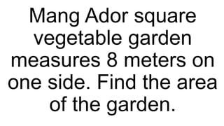 Mang Ador square
vegetable garden
measures 8 meters on
one side. Find the area
of the garden.
 