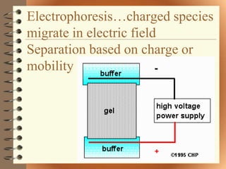 Electrophoresis…charged species
migrate in electric field
Separation based on charge or
mobility
 
