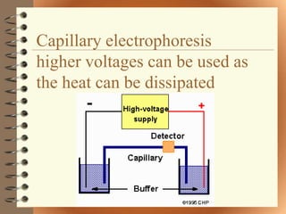 Capillary electrophoresis
higher voltages can be used as
the heat can be dissipated
 