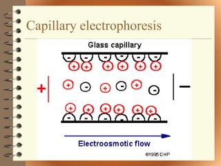 Capillary electrophoresis
 